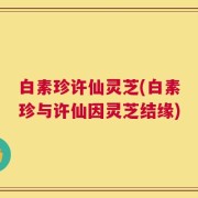 白素珍许仙灵芝(白素珍与许仙因灵芝结缘)
