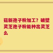 菇新孢子粉加工？破壁灵芝孢子粉能种出灵芝么