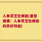 人参灵芝牡蛎肽(重塑健康：人参灵芝牡蛎肽的良好效益)