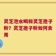 灵芝泡水喝和灵芝孢子粉？灵芝孢子粉如何食用