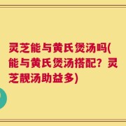 灵芝能与黄氏煲汤吗(能与黄氏煲汤搭配？灵芝靓汤助益多)