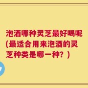泡酒哪种灵芝最好喝呢(最适合用来泡酒的灵芝种类是哪一种？)