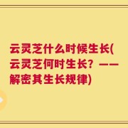 云灵芝什么时候生长(云灵芝何时生长？——解密其生长规律)