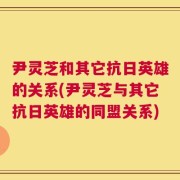 尹灵芝和其它抗日英雄的关系(尹灵芝与其它抗日英雄的同盟关系)