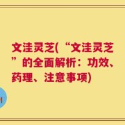 文洼灵芝(“文洼灵芝”的全面解析：功效、药理、注意事项)