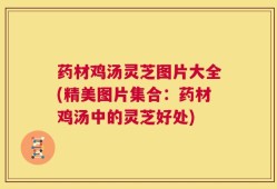 药材鸡汤灵芝图片大全(精美图片集合：药材鸡汤中的灵芝好处)