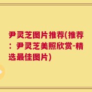 尹灵芝图片推荐(推荐：尹灵芝美照欣赏-精选最佳图片)