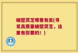破壁灵芝哪里有卖(寻觅高质量破壁灵芝，这里有你要的！)