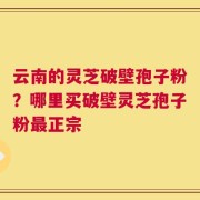 云南的灵芝破壁孢子粉？哪里买破壁灵芝孢子粉最正宗