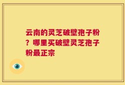 云南的灵芝破壁孢子粉？哪里买破壁灵芝孢子粉最正宗