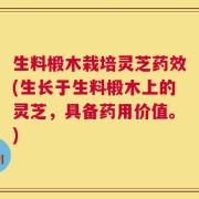 生料椴木栽培灵芝药效(生长于生料椴木上的灵芝，具备药用价值。)