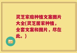 灵芝家庭种植文案图片大全(灵芝居家种植，全套文案和图片，尽在此。)