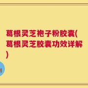 葛根灵芝袍子粉胶囊(葛根灵芝胶囊功效详解)