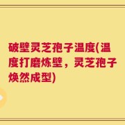 破壁灵芝孢子温度(温度打磨炼壁，灵芝孢子焕然成型)