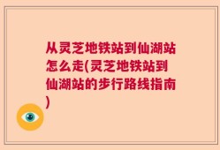 从灵芝地铁站到仙湖站怎么走(灵芝地铁站到仙湖站的步行路线指南)