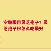 空腹服用灵芝孢子？灵芝孢子粉怎么吃最好