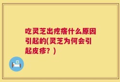 吃灵芝出疙瘩什么原因引起的(灵芝为何会引起皮疹？)