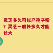 灵芝多久可以产孢子粉？灵芝一般长多久才能长大