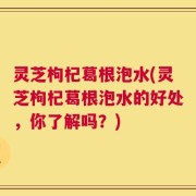 灵芝枸杞葛根泡水(灵芝枸杞葛根泡水的好处，你了解吗？)