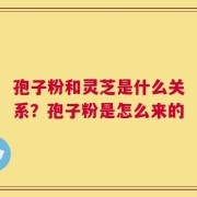 孢子粉和灵芝是什么关系？孢子粉是怎么来的