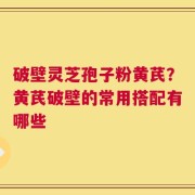 破壁灵芝孢子粉黄芪？黄芪破壁的常用搭配有哪些