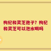 枸杞和灵芝孢子？枸杞和灵芝可以泡水喝吗
