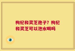 枸杞和灵芝孢子？枸杞和灵芝可以泡水喝吗