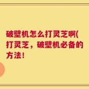 破壁机怎么打灵芝啊(打灵芝，破壁机必备的方法！