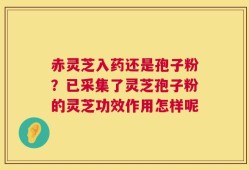 赤灵芝入药还是孢子粉？已采集了灵芝孢子粉的灵芝功效作用怎样呢