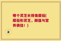 哪个灵芝长得像蘑菇(蘑菇形灵芝，颜值与营养俱佳！)