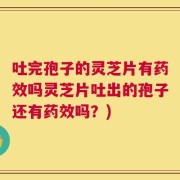 吐完孢子的灵芝片有药效吗灵芝片吐出的孢子还有药效吗？)