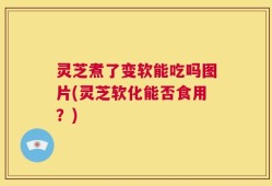 灵芝煮了变软能吃吗图片(灵芝软化能否食用？)