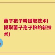 菌子孢子粉提取技术(提取菌子孢子粉的新技术)