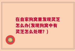 在自家狗窝里发现灵芝怎么办(发现狗窝中有灵芝怎么处理？)