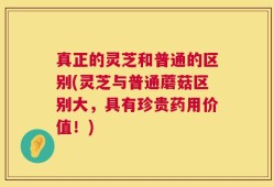 真正的灵芝和普通的区别(灵芝与普通蘑菇区别大，具有珍贵药用价值！)