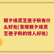 朝夕缘灵芝孢子粉有什么好处(发现朝夕缘灵芝孢子粉的惊人好处)