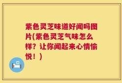 紫色灵芝味道好闻吗图片(紫色灵芝气味怎么样？让你闻起来心情愉悦！)