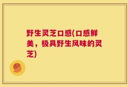 野生灵芝口感(口感鲜美，极具野生风味的灵芝)