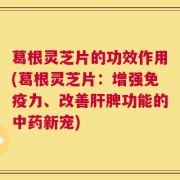 葛根灵芝片的功效作用(葛根灵芝片：增强免疫力、改善肝脾功能的中药新宠)