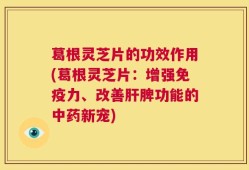 葛根灵芝片的功效作用(葛根灵芝片：增强免疫力、改善肝脾功能的中药新宠)