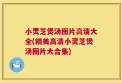 小灵芝煲汤图片高清大全(精美高清小灵芝煲汤图片大合集)