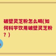 破壁灵芝粉怎么喝(如何科学饮用破壁灵芝粉？)