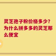 灵芝孢子粉价格多少？为什么拼多多的灵芝那么便宜