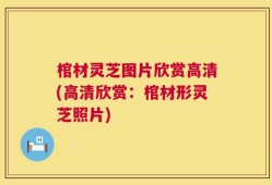 棺材灵芝图片欣赏高清(高清欣赏：棺材形灵芝照片)