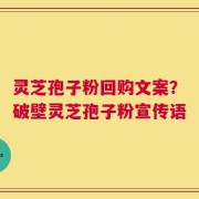 灵芝孢子粉回购文案？破壁灵芝孢子粉宣传语