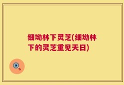 细坳林下灵芝(细坳林下的灵芝重见天日)
