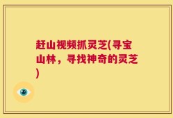 赶山视频抓灵芝(寻宝山林，寻找神奇的灵芝)