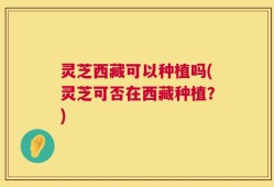 灵芝西藏可以种植吗(灵芝可否在西藏种植？)