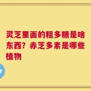 灵芝里面的粗多糖是啥东西？赤芝多素是哪些植物
