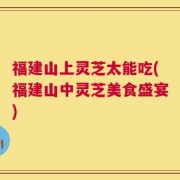 福建山上灵芝太能吃(福建山中灵芝美食盛宴)